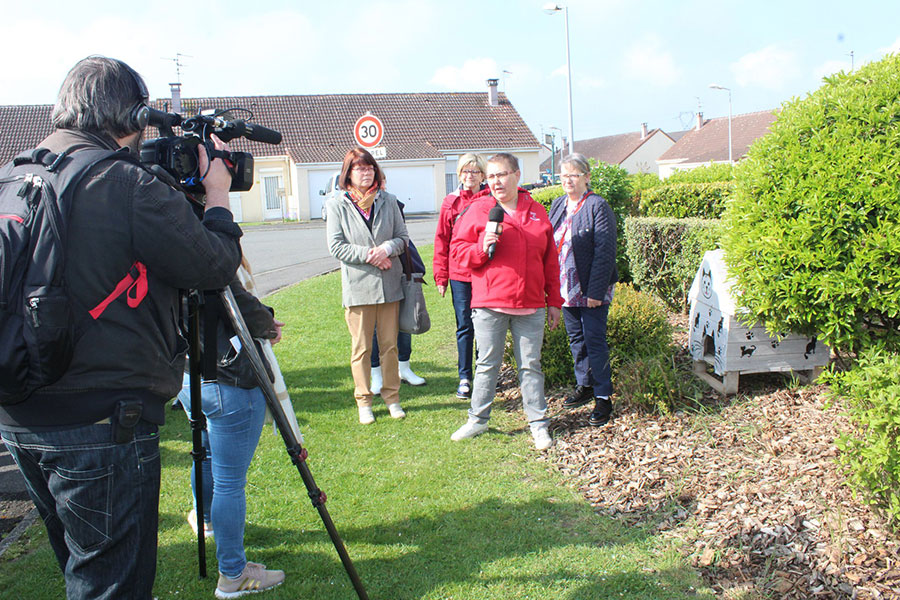 Cabane à chats Interview