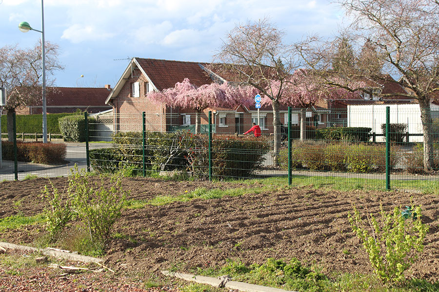 Jardins partagés