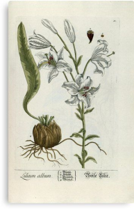 100000010000016200000226052A4F14