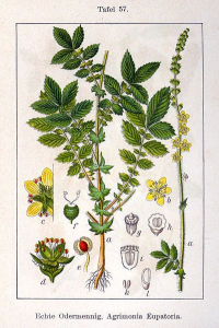 1000000100000190000002576969F331