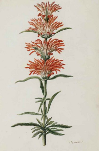 10000001000001A500000280FC78846A