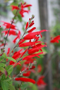 10000001000001AA00000280AD768AA0