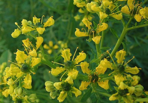 10000001000001F40000015C526ECBBD