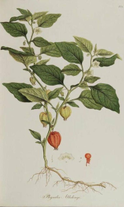 100000010000023A000003B80305575F