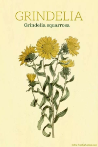 10000001000002580000038430001484