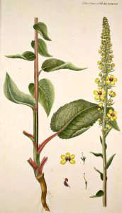 100000010000026C00000438D0CD9D6C