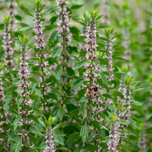 100000010000040000000400CB2A91FE