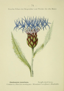 100000010000046100000640948CE577