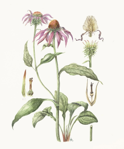 10000001000004B00000059F5F287EC2