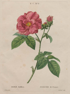 10000001000004B00000063E1911F1F4