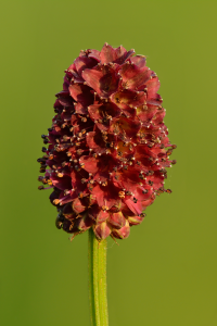 1000000100000FA0000017700A8DF260