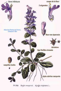 10000001000000F00000016539EB4E38