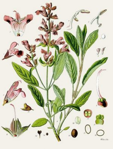 100000010000012C0000018B11D6C870