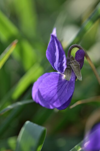 100000010000014A000001EF7F67FACF