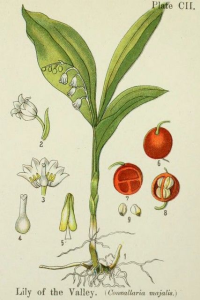 10000001000001AB000002802131D1D4