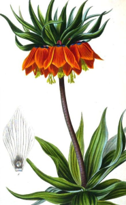 10000001000001B8000002CBC880EBC9