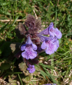 100000010000022000000280ACCE23BE