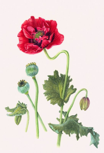 100000010000022100000320B14BBB3C