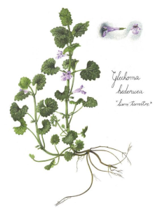 1000000100000234000002E5EFEE4AF4