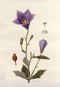 10000001000002580000035AE8FD480B