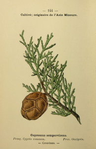 1000000100000295000004002E5D865C