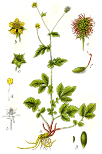 1000000100000296000003E4EEDF42AA