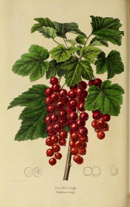 10000001000002A80000043831CD34E4