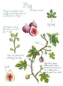 10000001000002BB000003C29FB2387E