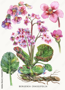 10000001000002D7000003E8709A31E3