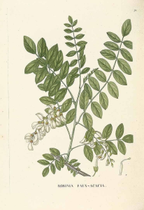 10000001000002E7000004388C9F72BC