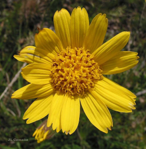 10000001000003200000032D45CFD9DB