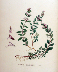 1000000100000320000003E521C4EBF7