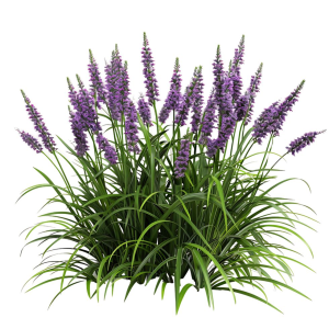 10000001000003D4000003D4432B3A8C