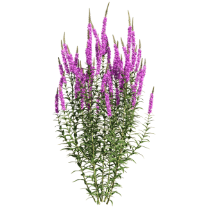 10000001000003E8000003E86FD883BF