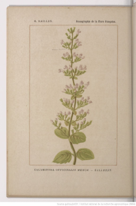 100000010000040000000612B380E848