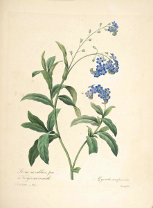 100000010000049C0000064074DE757E