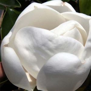 10000001000006680000066891241939