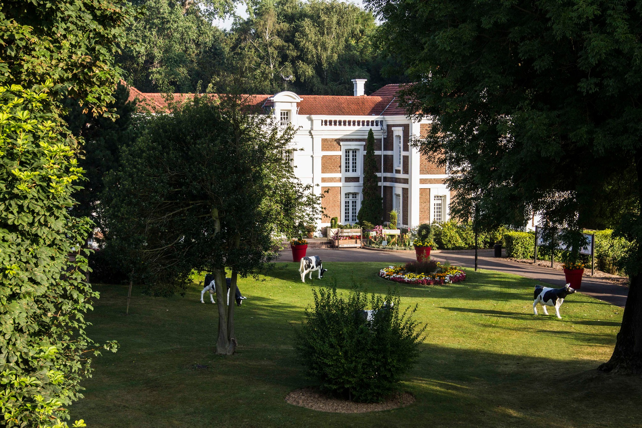 592428661_1145196497764772_3267544799076586421_n