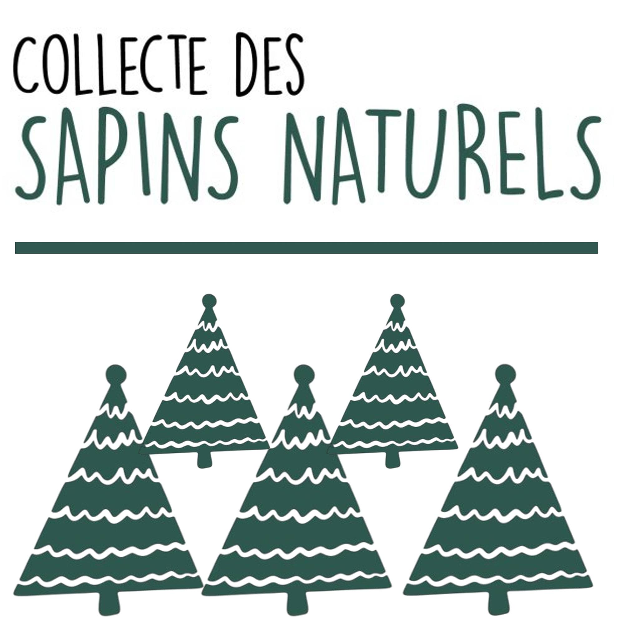 607952158_1164298879187867_3839202253085646861_n