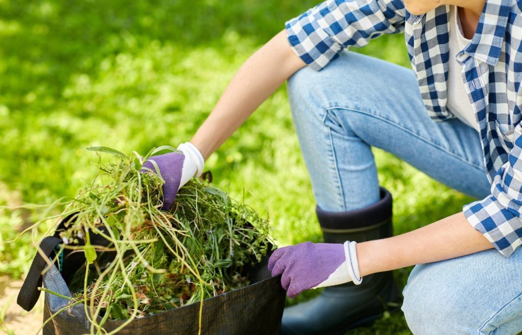 article-2024-09-20T105127.860-1024x658