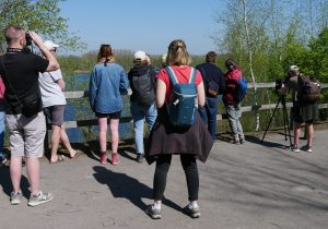 Formation GNPV - Faune des terrils