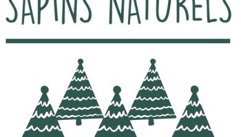 607952158_1164298879187867_3839202253085646861_n