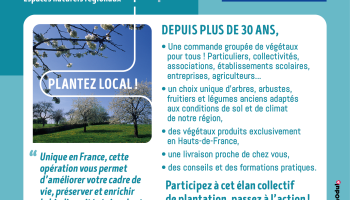 Encart_RéseauxSociaux_2026