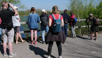 Formation GNPV - Faune des terrils