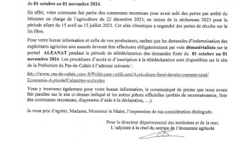 doc01875220241004155139 (1)_page-0001