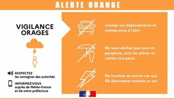 f0697ad6ca6cbca72904fa374a989d_vigilance-